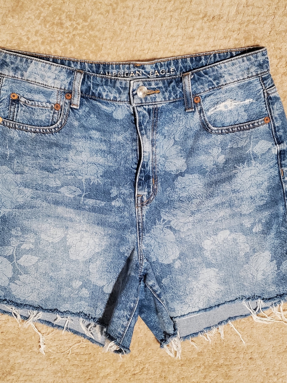 American Eagle Outfitters Light Blue Floral Jean Shorts
